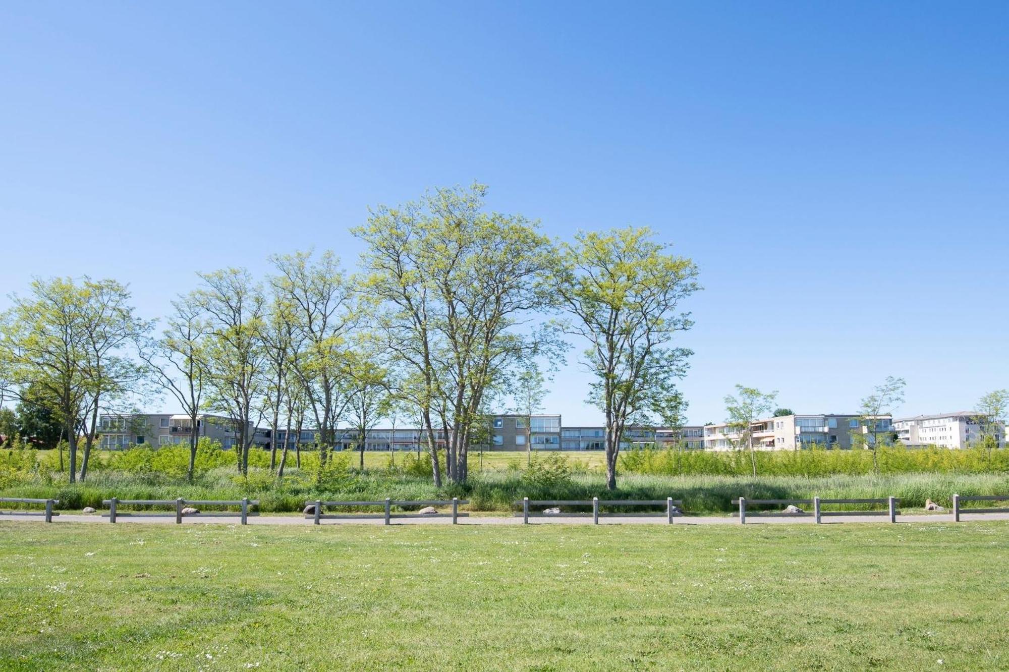 Baltic Apartment Am Duenenpark グレーミッツ エクステリア 写真